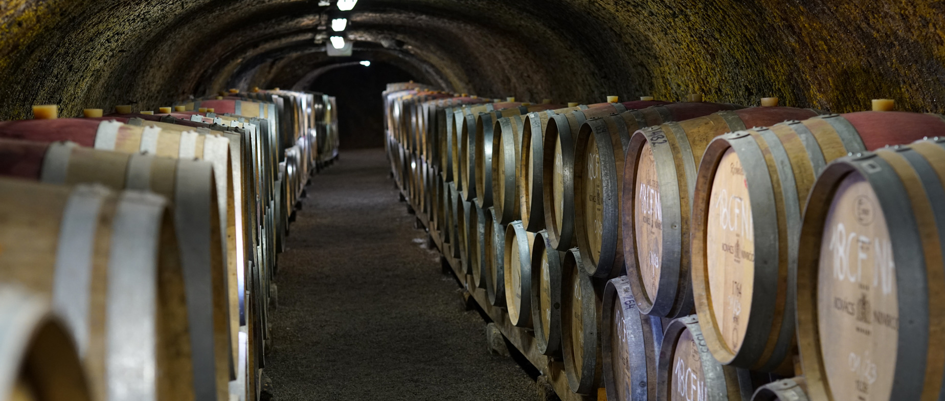 "Grand tasting Extra" 8 tételes borkóstoló pincetúrával a Kovács Nimród Winery-nél