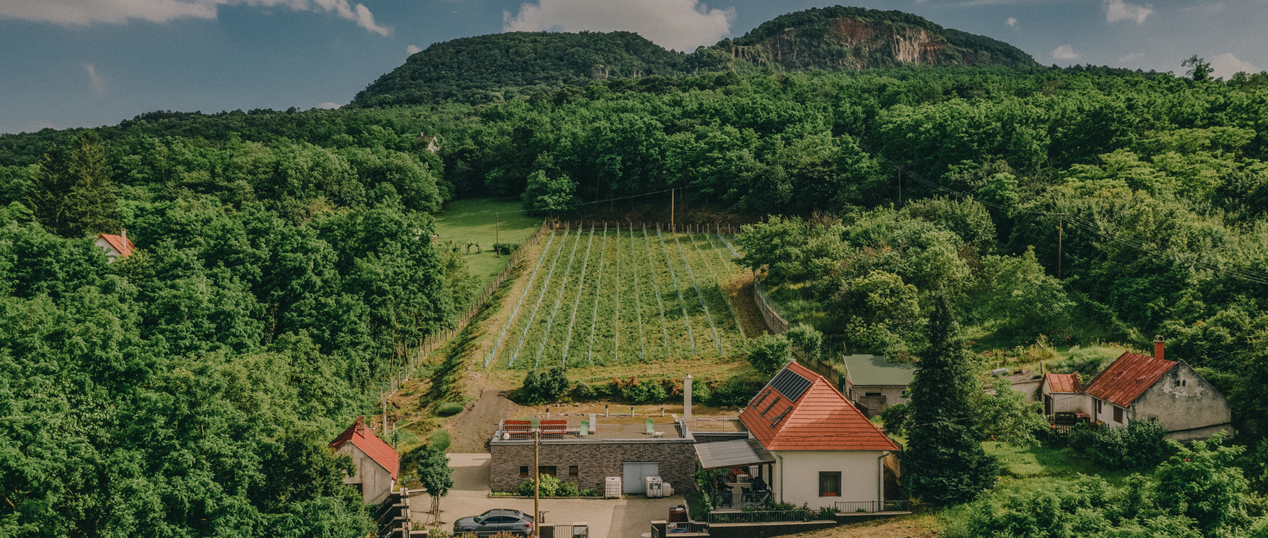 Romantikus kaland a Badacsony oldalában a FATA Birtok Vendégházban