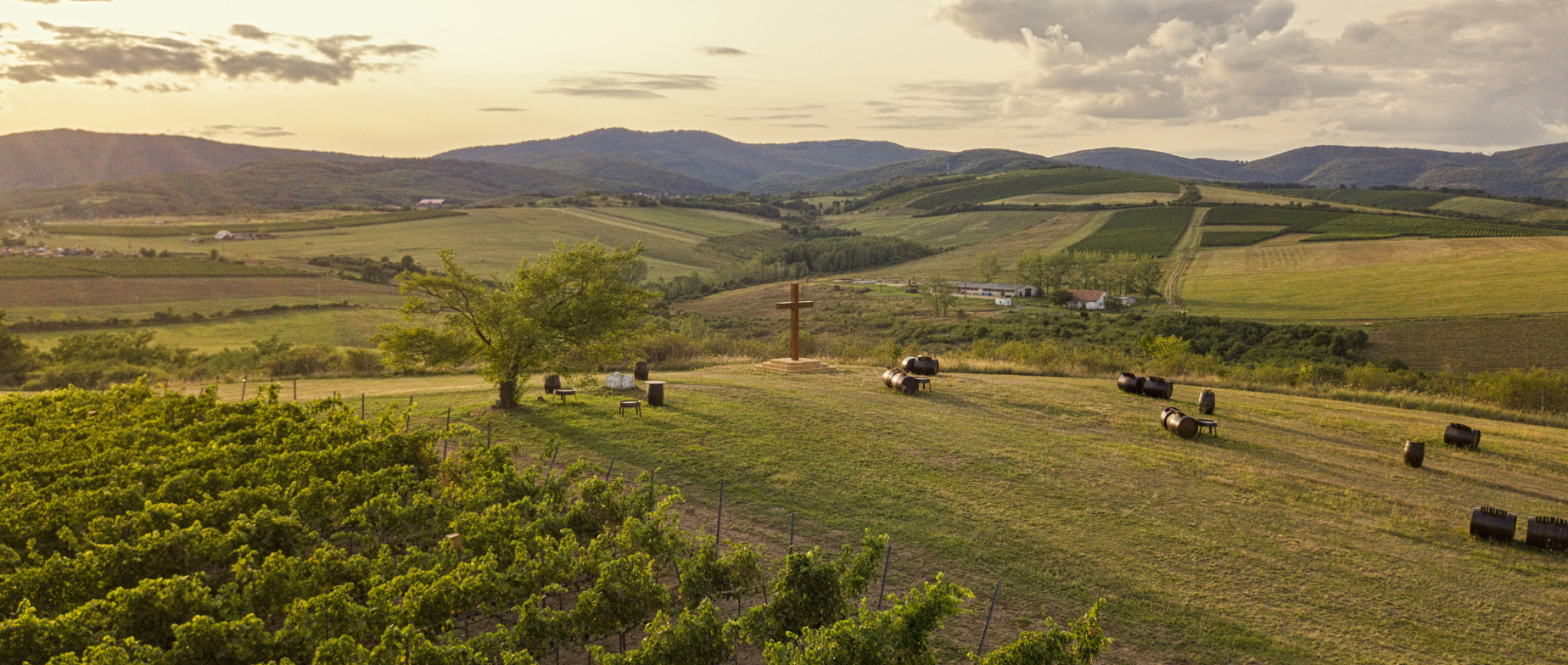 "Noszvajtól a Nagy Egedig" 6 tételes borkóstoló pincetúrával a Kovács Nimród Winery-nél