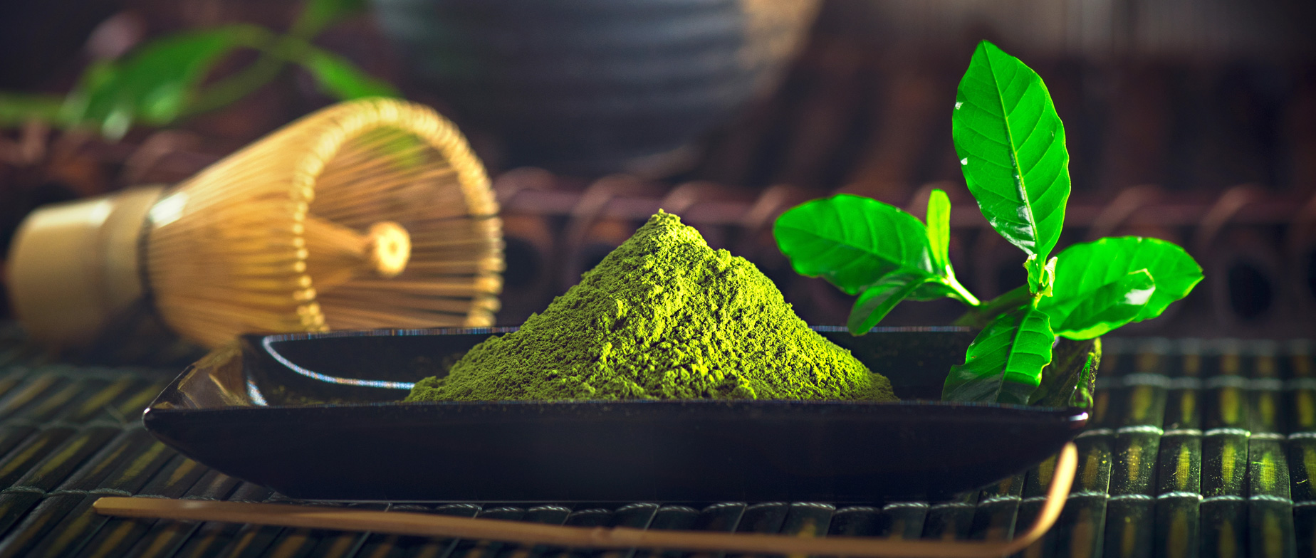 Matcha Spa Élmény – Antioxidáns feltöltődés és természetes megújulás