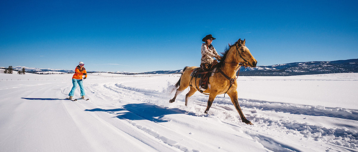 Skijoring – lovassíelés a Mátrában